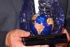 2012 Wings Award